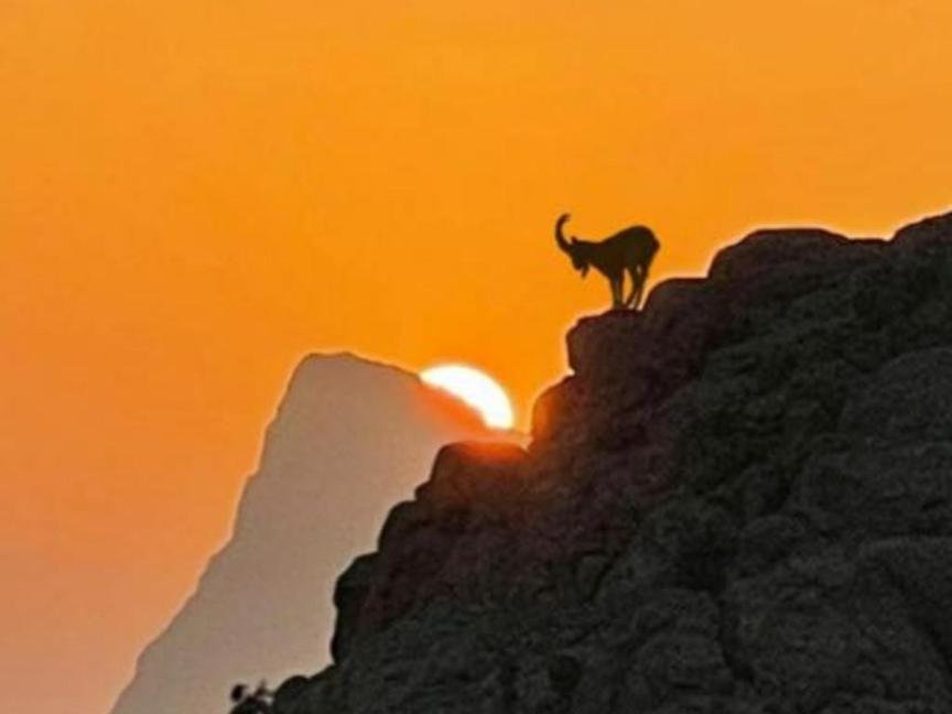 Jabal Shams Bayt Kawakib Misfah