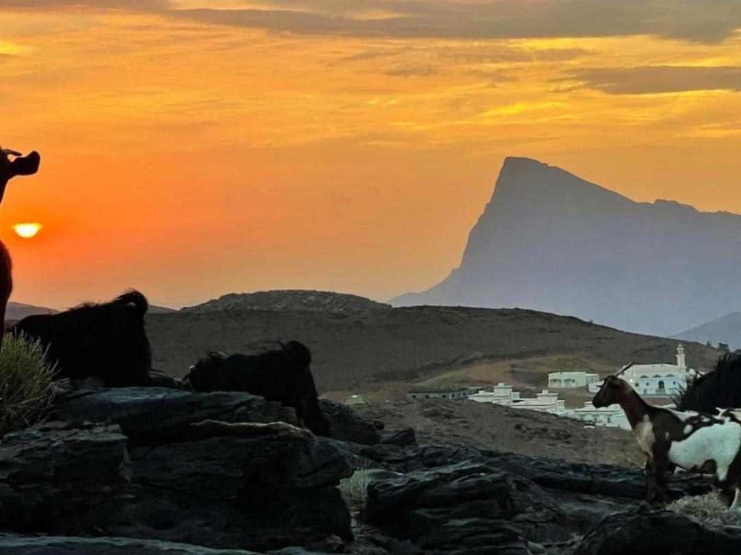 Jabal Shams Bayt Kawakib